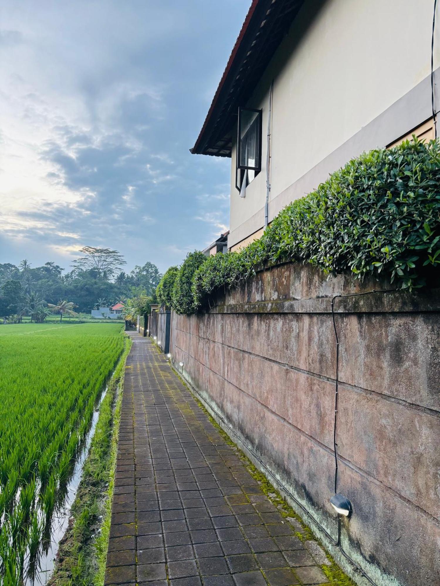 Uma Padi Villa Ubud Buitenkant foto