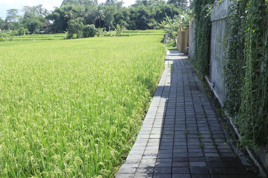 Uma Padi Villa Ubud Buitenkant foto